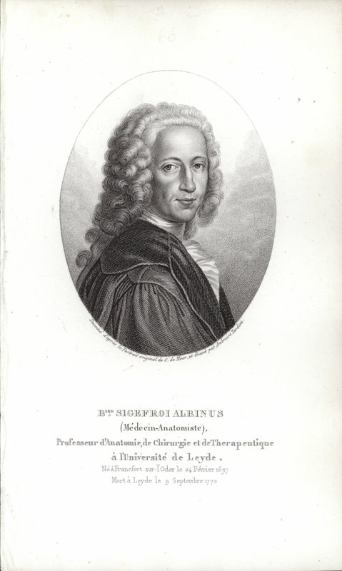 Bernhard Siegfried Albinus - German School
