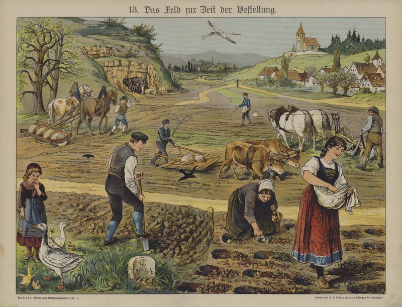 Agriculture - German School