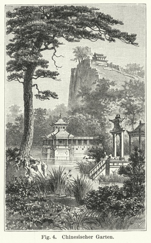 Conception de jardin : Jardin chinois - German School