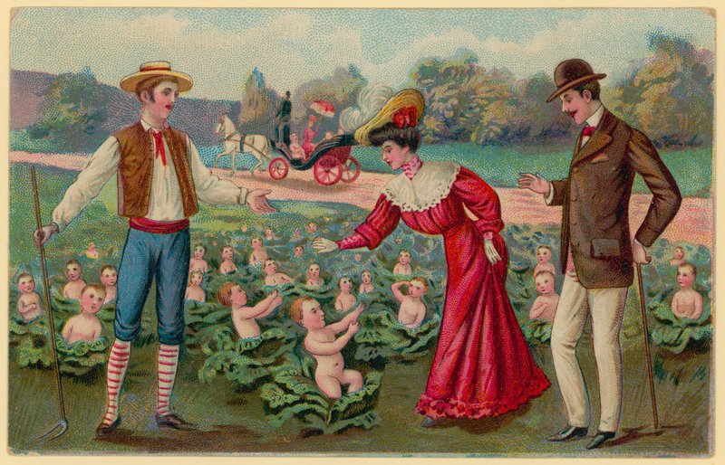 Bébés poussant dans des choux - German School