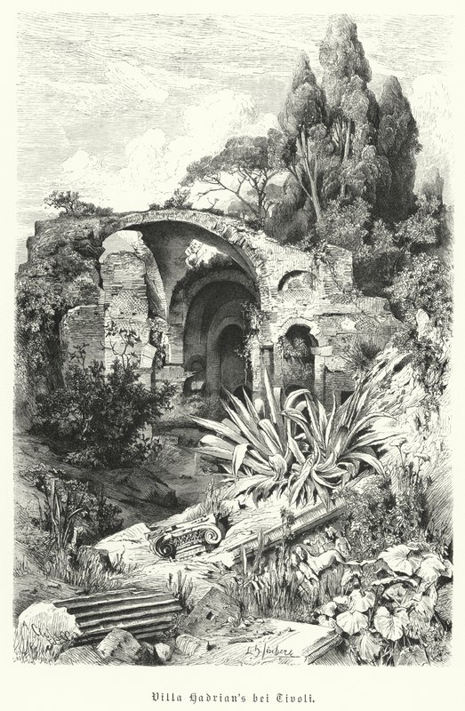 Villa d