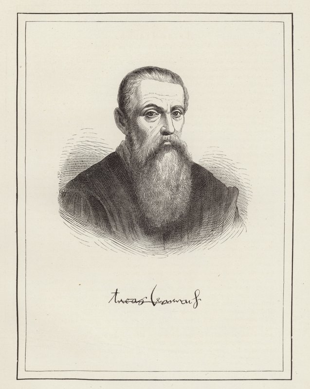 Lucas Cranach - German School
