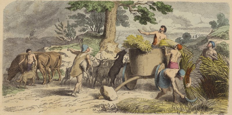 Vie rurale en Grèce antique (gravure en couleur) - German School