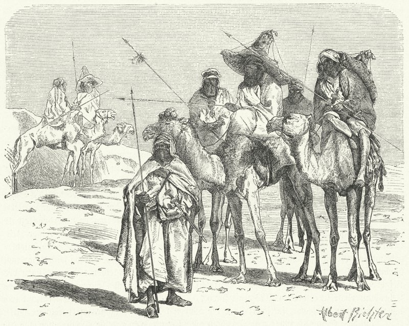 Touaregs (gravure) - German School