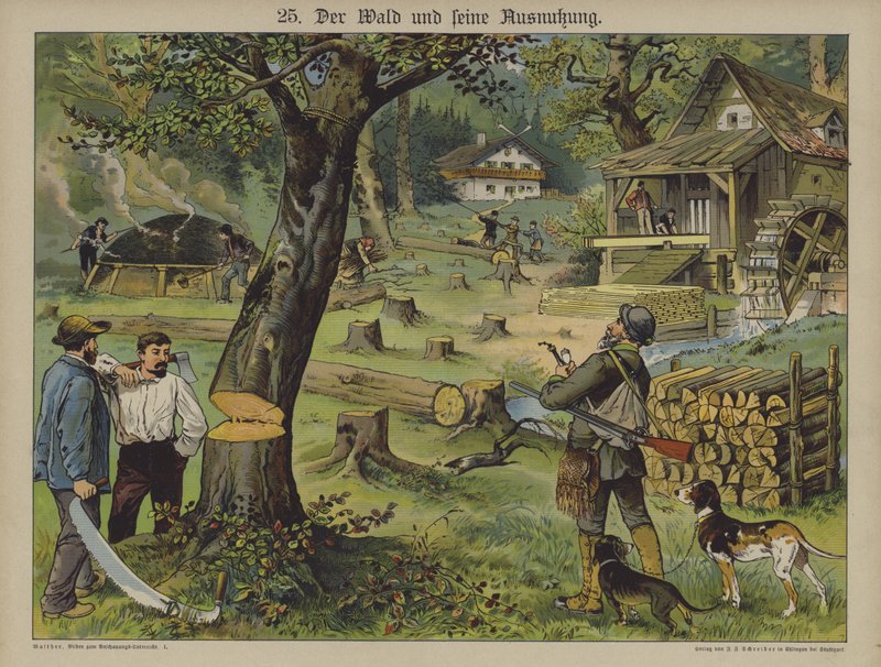 Travailleurs du bois (lithographie en couleur) - German School