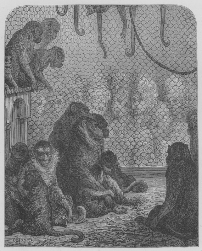 Jardin zoologique, les singes - Gustave after Dore