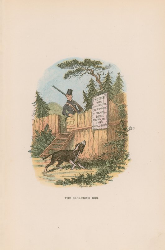 Illustration pour Pickwick Papers - Hablot Knight Browne