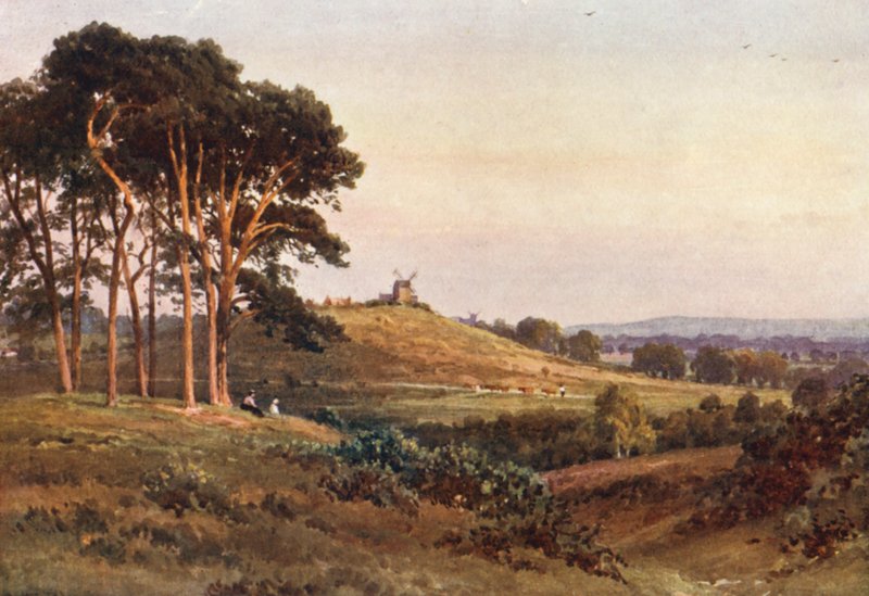 Reigate Heath, soir - Harold Sutton Palmer