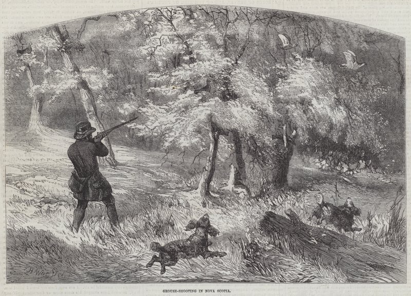 Chasse au tétras en Nouvelle-Écosse - Harrison William Weir