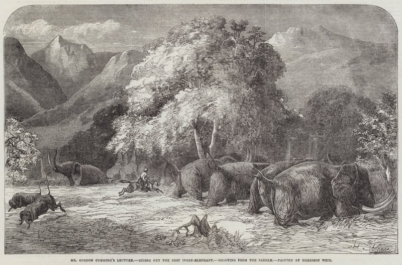 Conférence de M. Gordon Cumming, chevauchant le meilleur éléphant d
