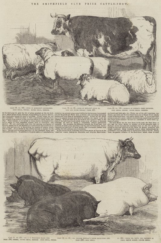 Le Concours de Bétail du Smithfield Club - Harrison William Weir