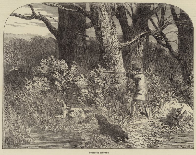 Chasse à la bécasse - Harrison William Weir