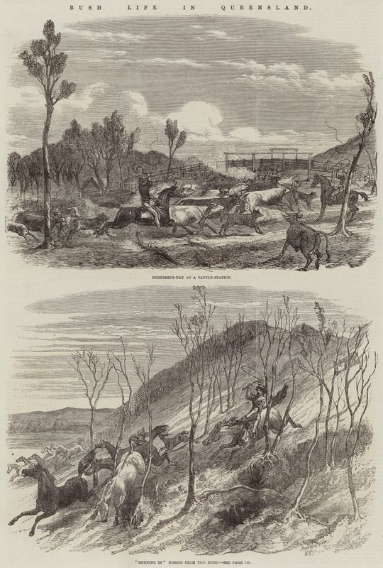 Vie de Brousse dans le Queensland - Harrison William Weir