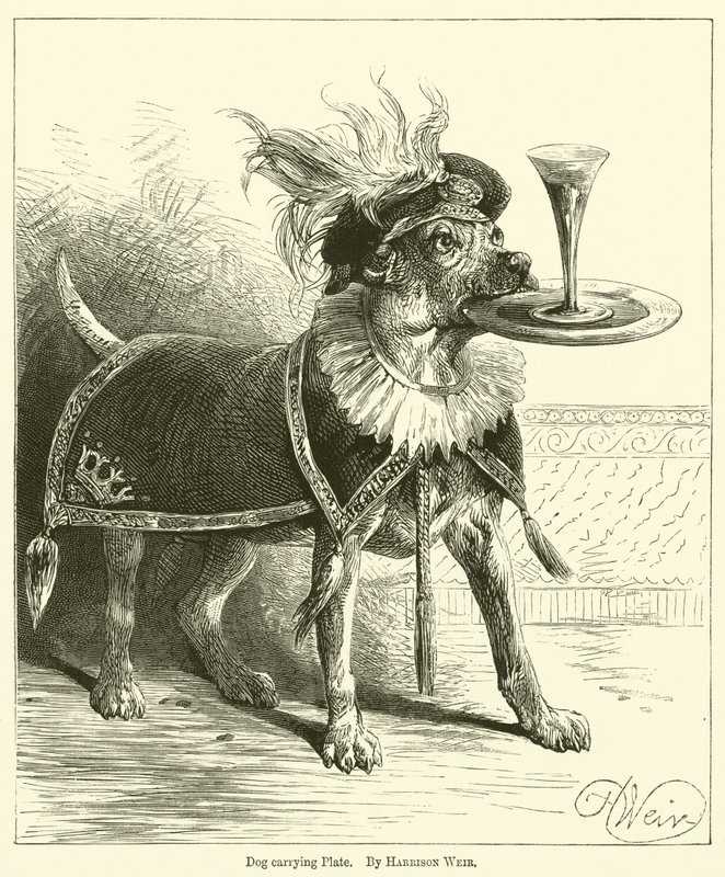 Chien portant une assiette - Harrison William Weir