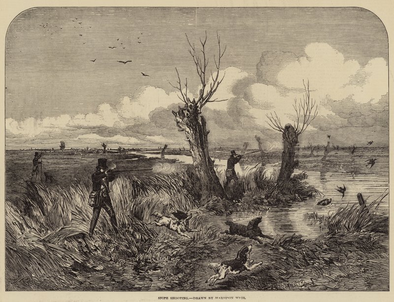Chasse à la bécassine - Harrison William Weir