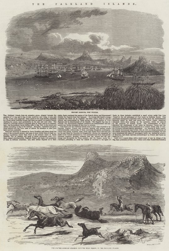 Les îles Falkland - Harrison William Weir