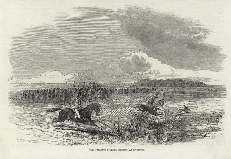 La réunion de coursing de Waterloo - Harrison William Weir