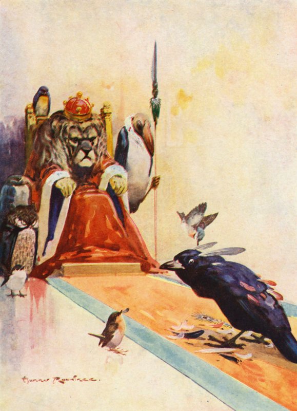 Le Geai vaniteux - Harry Rountree