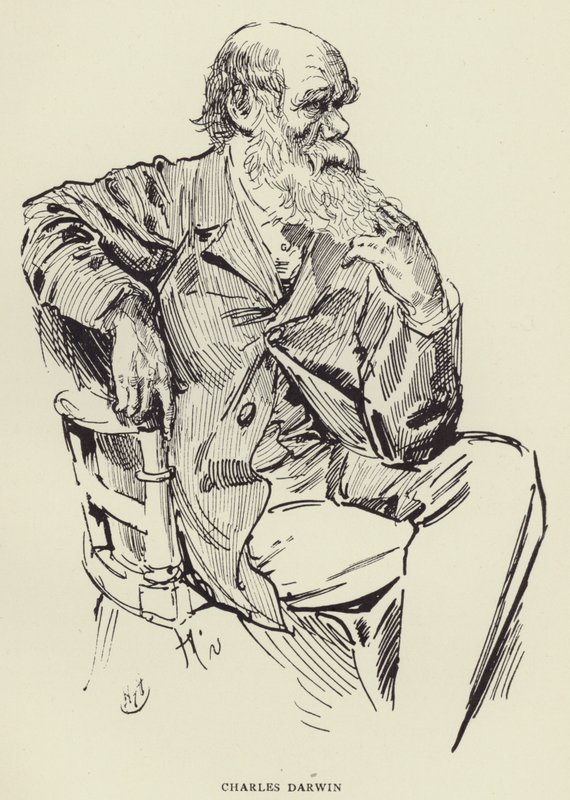 Charles Darwin - Harry Furniss