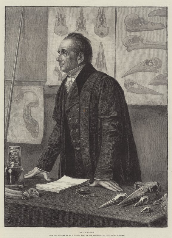 Le professeur - Henry Stacey Marks