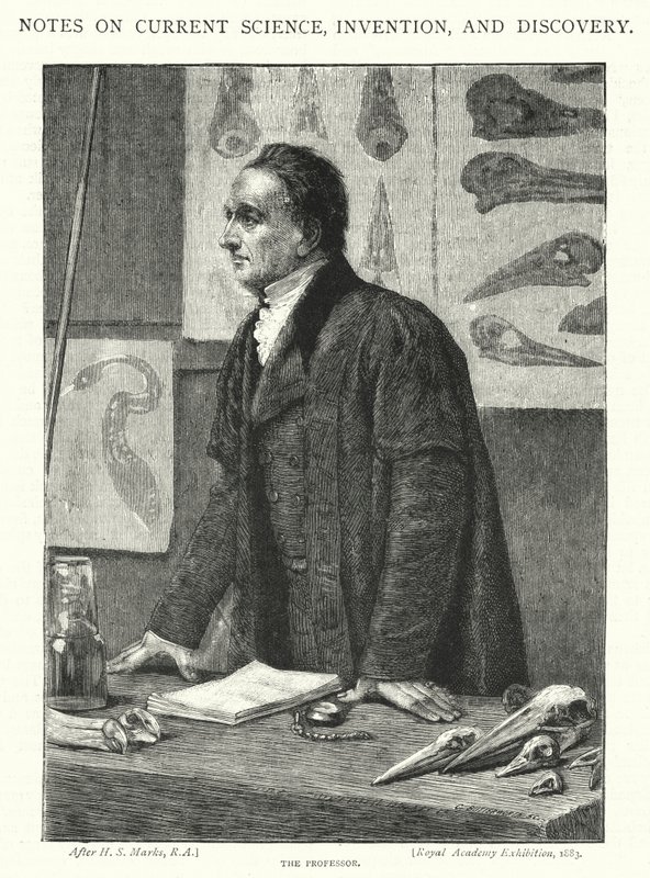 Le professeur (gravure) - Henry Stacey (after) Marks