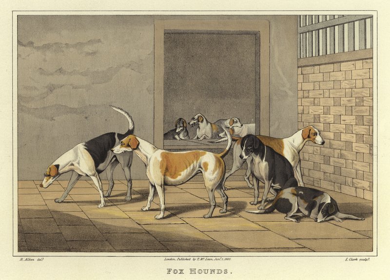 Chiens de Chasse (chromolitho) - Henry Thomas Alken