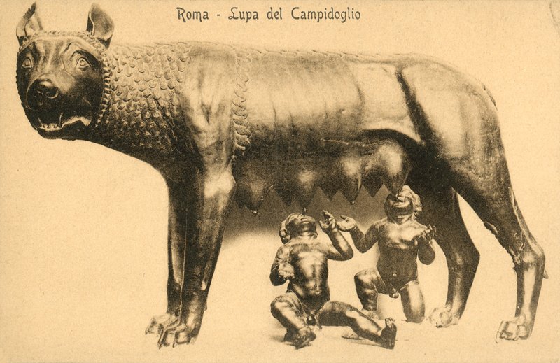 Rome, louve du Capitole - Italian Photographer