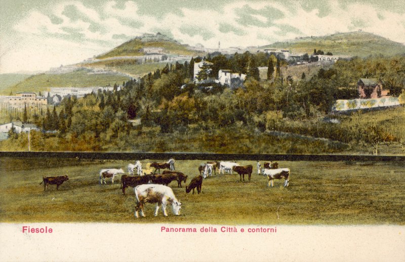 Fiesole, Florence, Italie - Italian Photographer