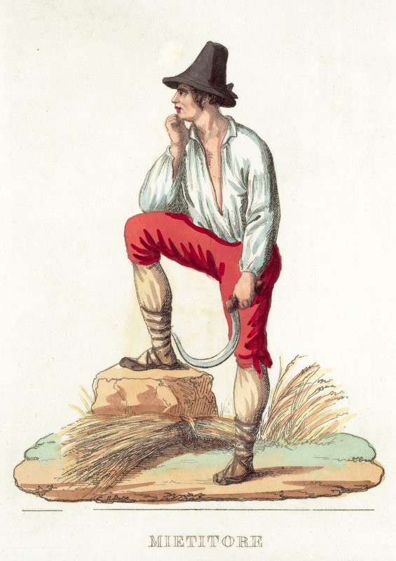 Mietitore (gravure en couleur) - Italian School