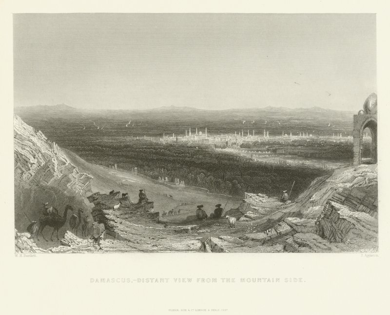 Damas - Vue lointaine depuis le flanc de la montagne, 1837 - J. Appleton