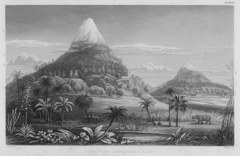 Répartition géographique des plantes - J. (after) Stewart