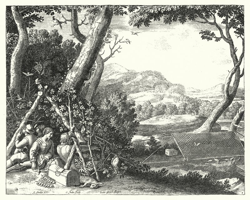 Attraper des oiseaux - Jacques Stella