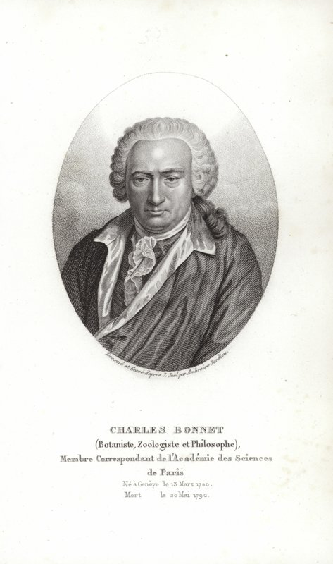 Charles Bonnet - Jens Juel