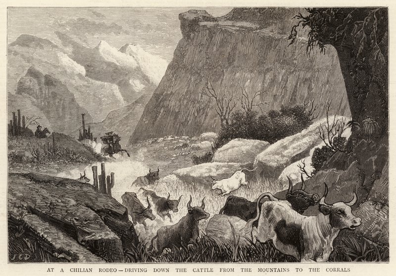 À un rodéo chilien, descente du bétail des montagnes vers les corrals - John Charles Dollman