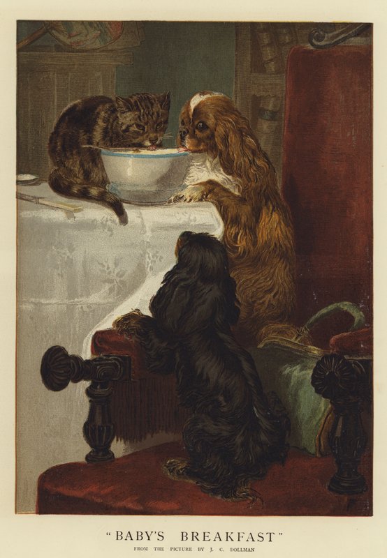 Petit-déjeuner de bébé - John Charles Dollman
