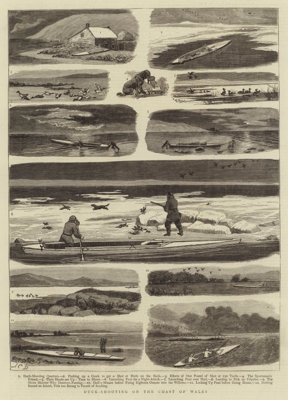 Chasse au canard sur la côte du Pays de Galles - John Charles Dollman