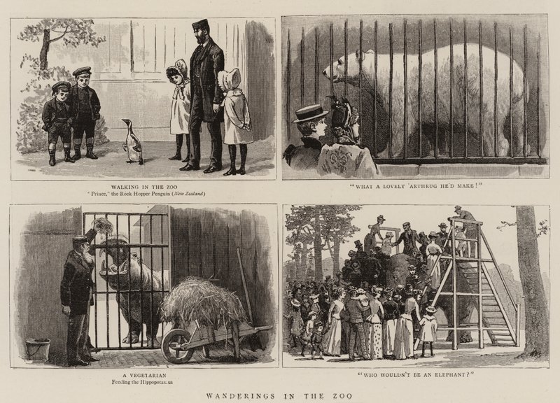 Errances dans le zoo - John Charles Dollman