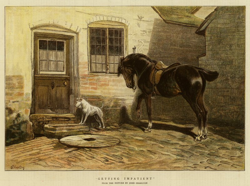 Devenir impatient - John Charlton