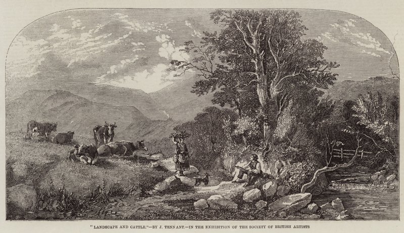 Paysage et bétail - John F. Tennant
