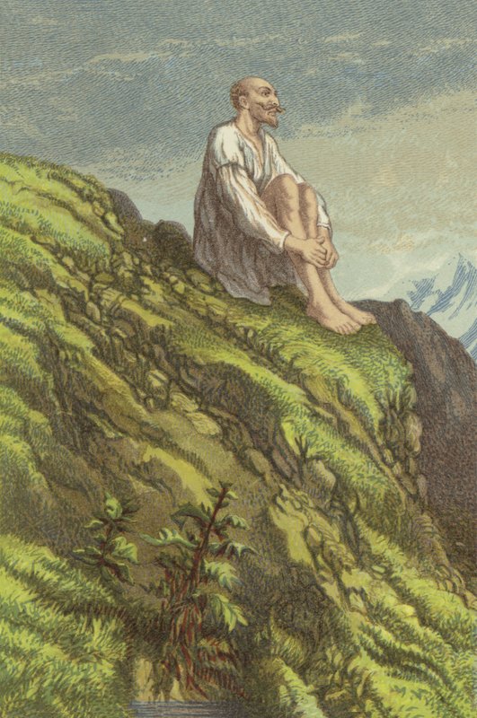 Don Quichotte dans la Sierra Morena faisant pénitence (chromolitho) - John Gilbert