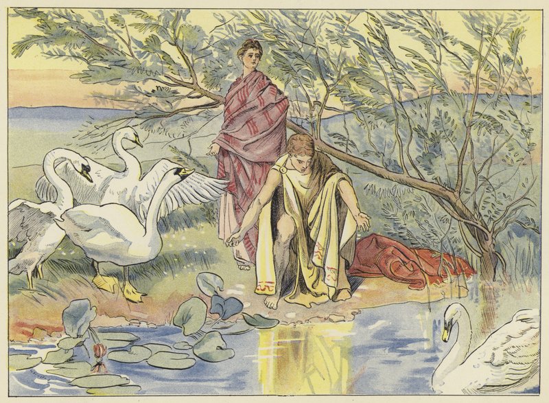 Narcisse - John Shenton Eland