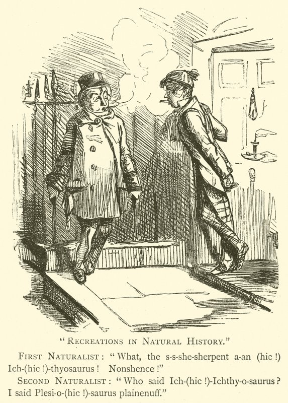Récréations en histoire naturelle (gravure) - John (after) Leech
