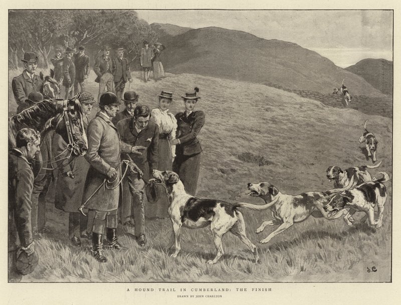 Une course de chiens en Cumberland, l