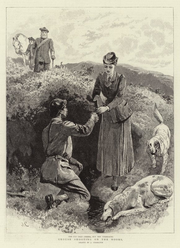 Chasse au tétras sur les landes - John Charlton