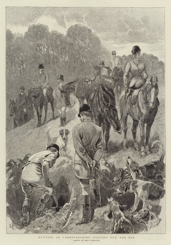 Chasse au Cardiganshire, déterrage du renard - John Charlton