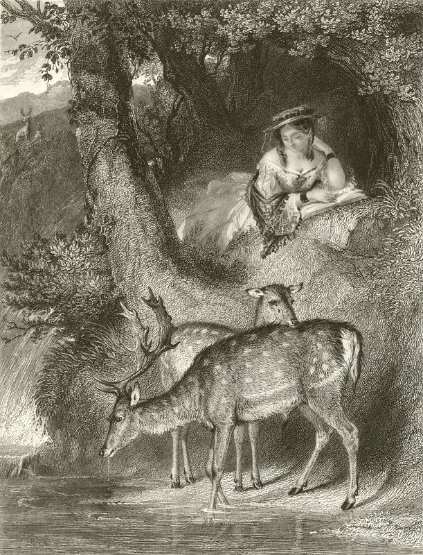 Solitude de montagne - John Corbould