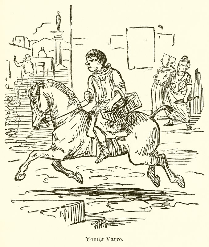 Jeune Varro - John Leech