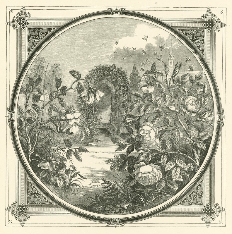 Les abeilles ne touchent pas aux fleurs fanées - John Leighton