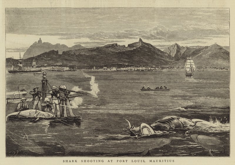 Chasse au requin à Port Louis, Maurice - Joseph Nash