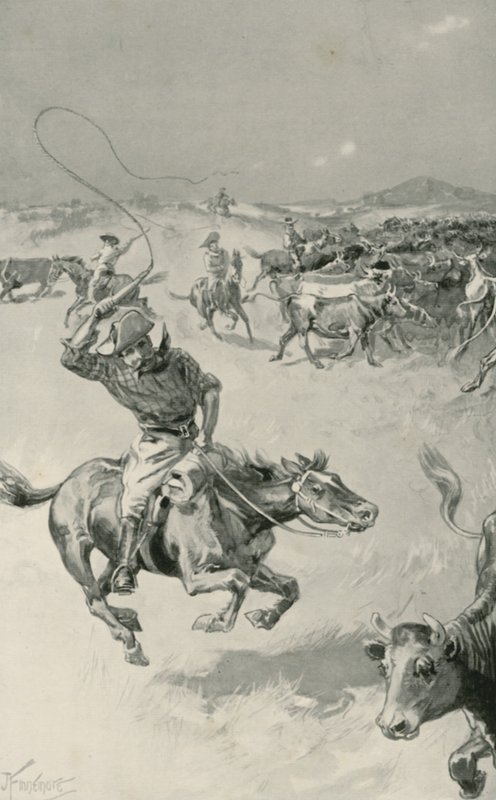 Rassemblement de bétail dans le Queensland - Joseph Finnemore